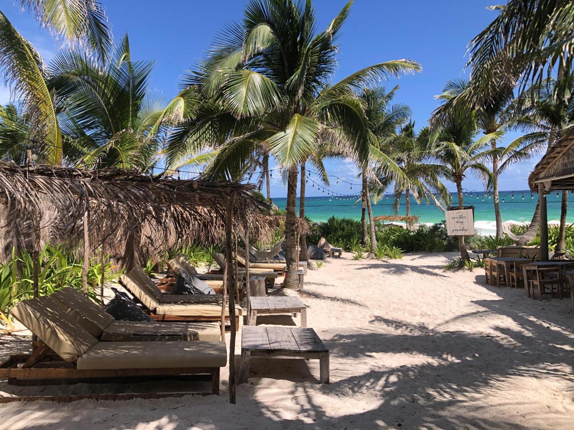 Appartement Jungle Loft With Gym, Pools And Rooftop Terrace Tulum