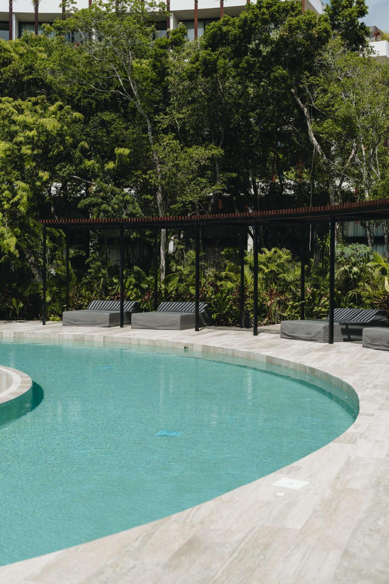 Apartment Jungle Loft With Gym, Pools And Rooftop Terrace
